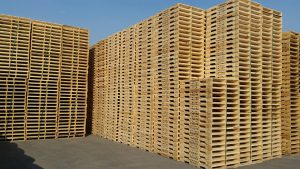 Pallet Plant iii